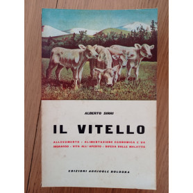 Il vitello