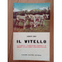 Il vitello