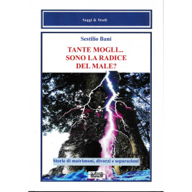 Tante mogli.. sono la radice del male?