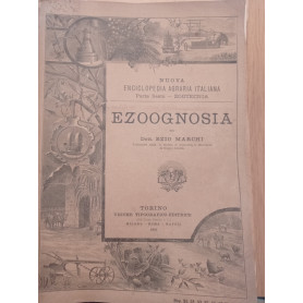 Ezoognosia