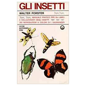 Gli insetti