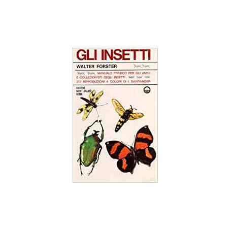 Gli insetti