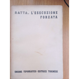 L' esecuzione forzata