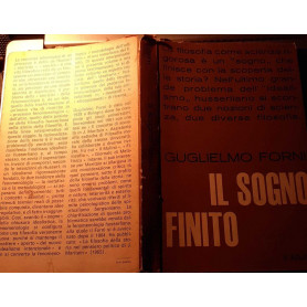 Il sogno finito. Saggio sulla storicita' della fenomenologia