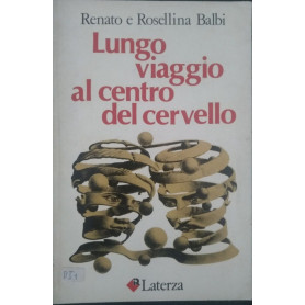 Lungo viaggio al centro del cervello