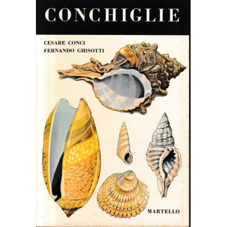 Conchiglie