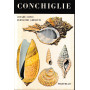 Conchiglie