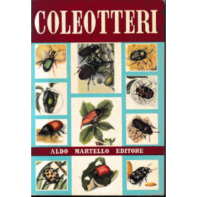 Coleotteri