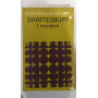 Shaftesbury. I moralisti