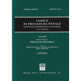 Codice Di Procedura Penale Rassegna Vol. 12: parte speciale