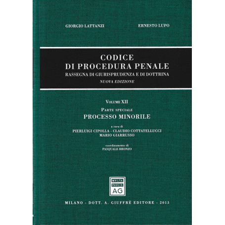 Codice Di Procedura Penale Rassegna Vol. 12: parte speciale