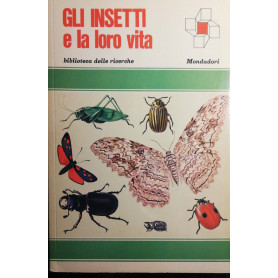 Gli insetti e la loro vita
