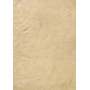 Collectio Pisaurensis omnium poemataum  carminum  fragmentorum latinorum sive ad christianos  sive ad ethnicos  sive ad certos