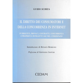 Il diritto dei consumatori e della concorrenza in Internet. Pubblicità  privacy  contratti  concorrenza e proprietàave