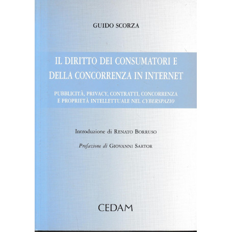 Il diritto dei consumatori e della concorrenza in Internet. Pubblicità  privacy  contratti  concorrenza e proprietàave