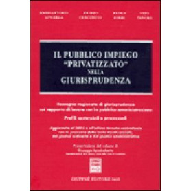 Il pubblico impiego privatizzato nella giurisprudenza. Rassegna ragionata di giurisprudenza sul rapporto di lavoro con la pubbli