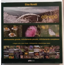 Oltrepò