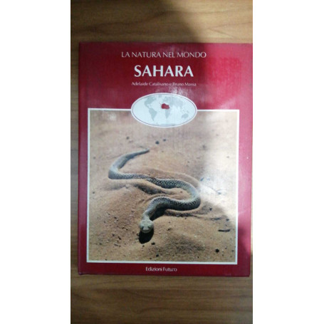 Sahara