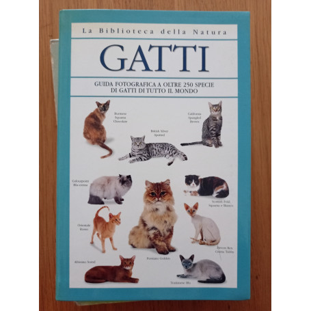 GATTI