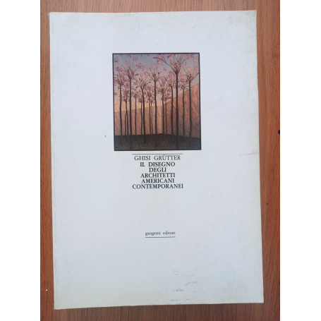 Il disegno degli architetti americani contemporanei
