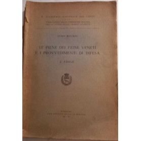 Le piene dei fiumi veneti e i provvedimenti di difesa - L'Adige