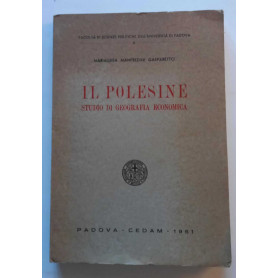 Il Polesine studio di geografia economica