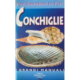 Conchiglie