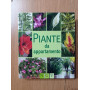 Piante da appartamento