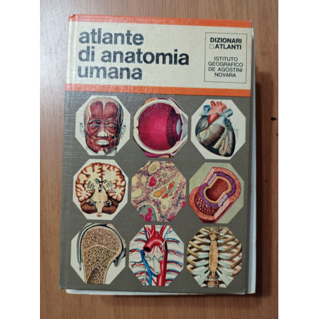 Atlante di anatomia umana
