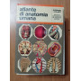 Atlante di anatomia umana