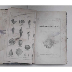 Geologie
