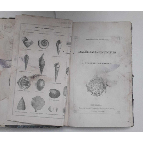 Geologie