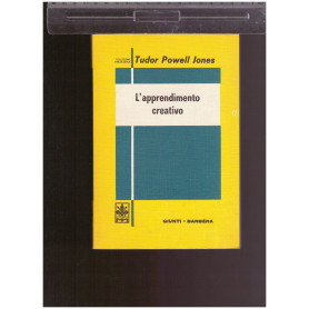 L'APPRENDIMENTO CREATIVO