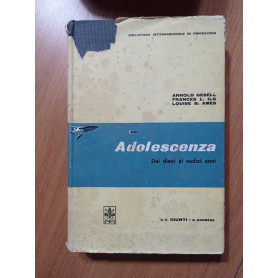 Adolescenza dai dieci ai sedici anni