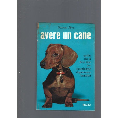 AVERE UN CANE