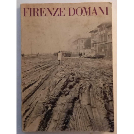 Firenze domani