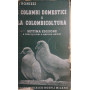 I colombi domestici e la colombicoltura