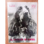 Il cocker spaniel