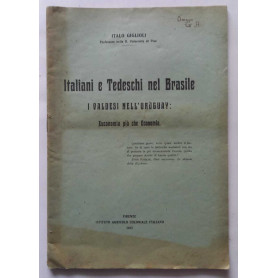 Italiani e tedeschi nel Brasile  i valdesi nell'Uruguay. (Estratto)