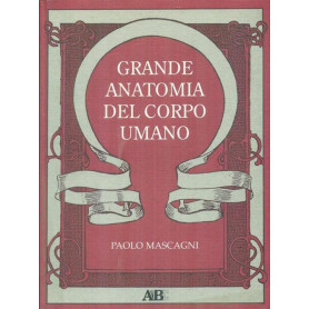 Grande anatomia del corpo umano