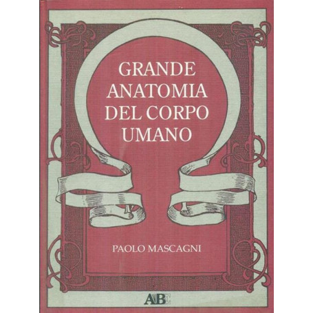 Grande anatomia del corpo umano