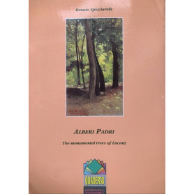 Alberi padri. The monumental trees of Lucany
