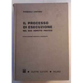 Il processo di esecuzione nel suo aspetto pratico