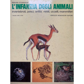 L'infanzia degli animali invertebrati  pesci  anfibi  rettili  uccelli  mammiferi
