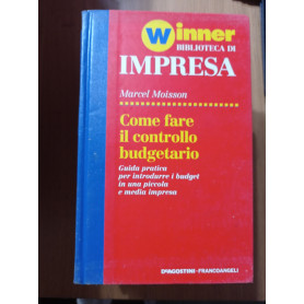 Come fare il controllo budgetario