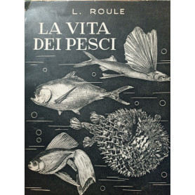 La vita dei pesci