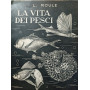 La vita dei pesci