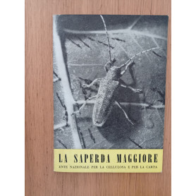 La saperda maggiore