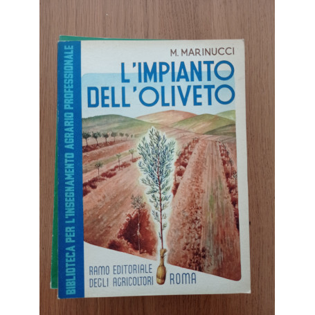 L' impianto dell'oliveto
