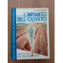 L' impianto dell'oliveto